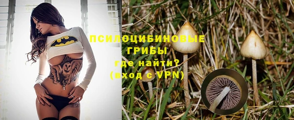 дживик Алексин