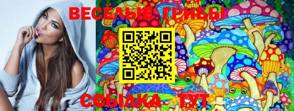 Сыктывкар  Галлюциногенные грибы мухоморы  Вход с VPN 