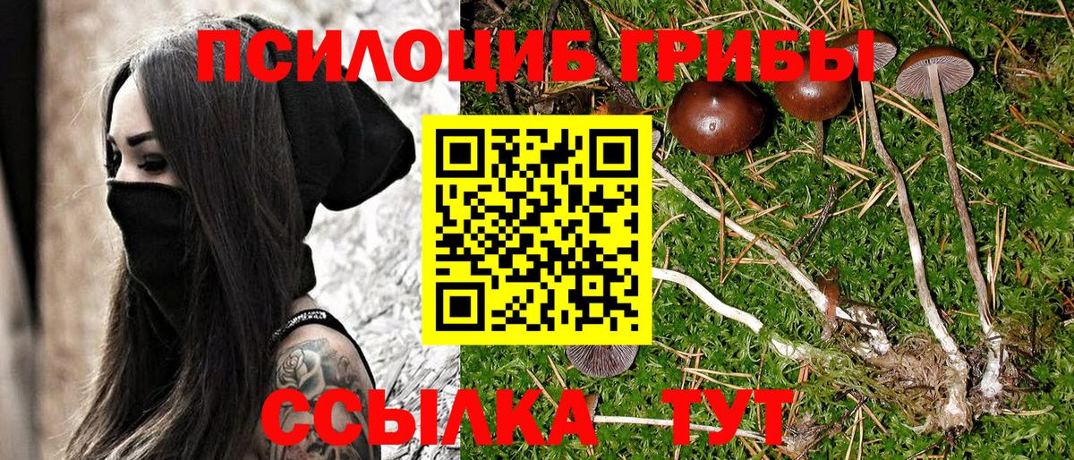 Галлюциногенные грибы мухоморы Сыктывкар